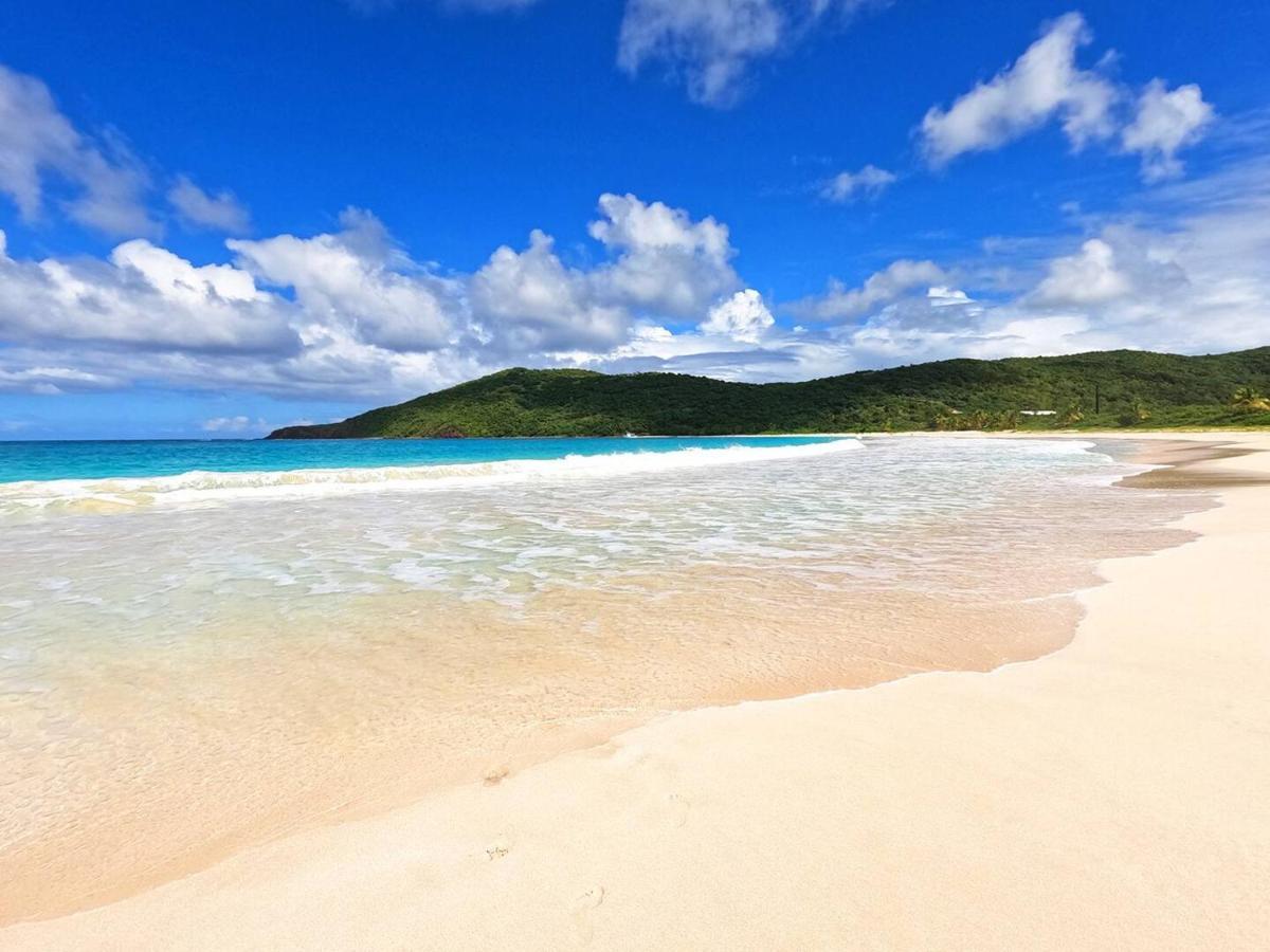 Coqui Beach Home, Culebra Isla Culebra المظهر الخارجي الصورة