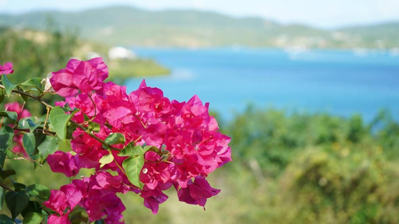 Coqui Beach Home, Culebra Isla Culebra المظهر الخارجي الصورة