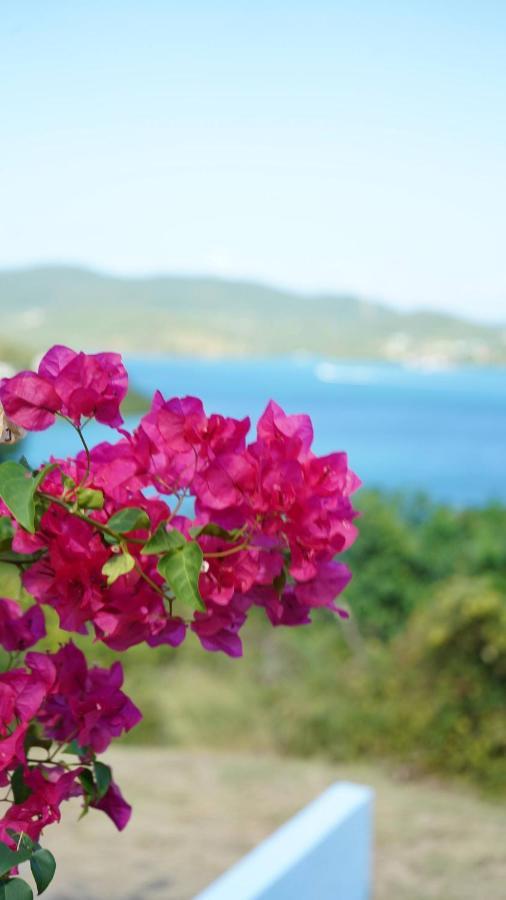 Coqui Beach Home, Culebra Isla Culebra المظهر الخارجي الصورة