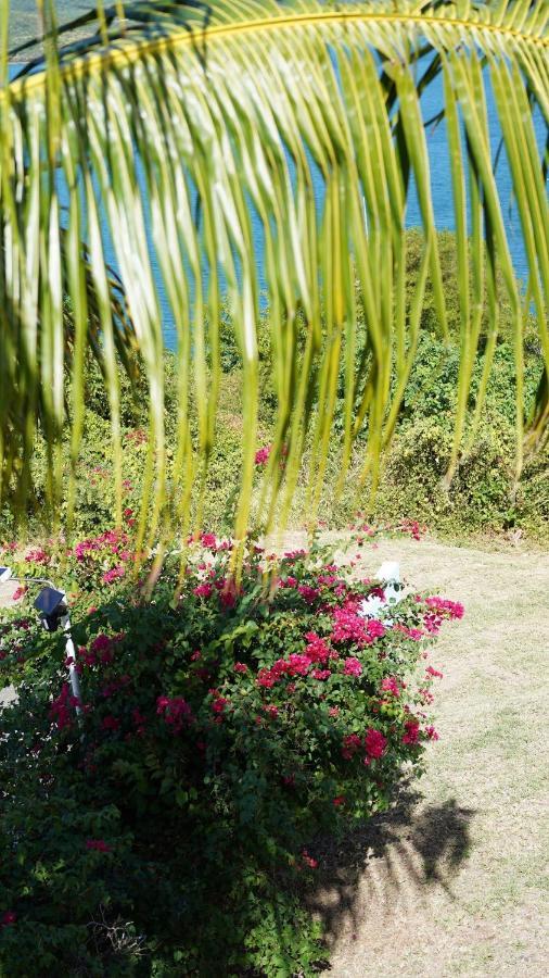 Coqui Beach Home, Culebra Isla Culebra المظهر الخارجي الصورة