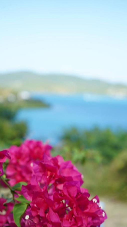 Coqui Beach Home, Culebra Isla Culebra المظهر الخارجي الصورة