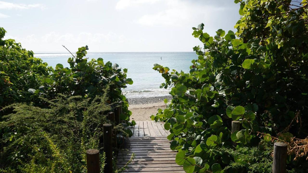 Coqui Beach Home, Culebra Isla Culebra المظهر الخارجي الصورة