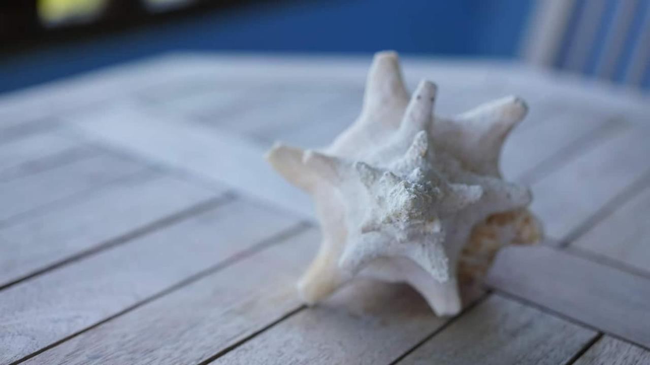 Coqui Beach Home, Culebra Isla Culebra المظهر الخارجي الصورة